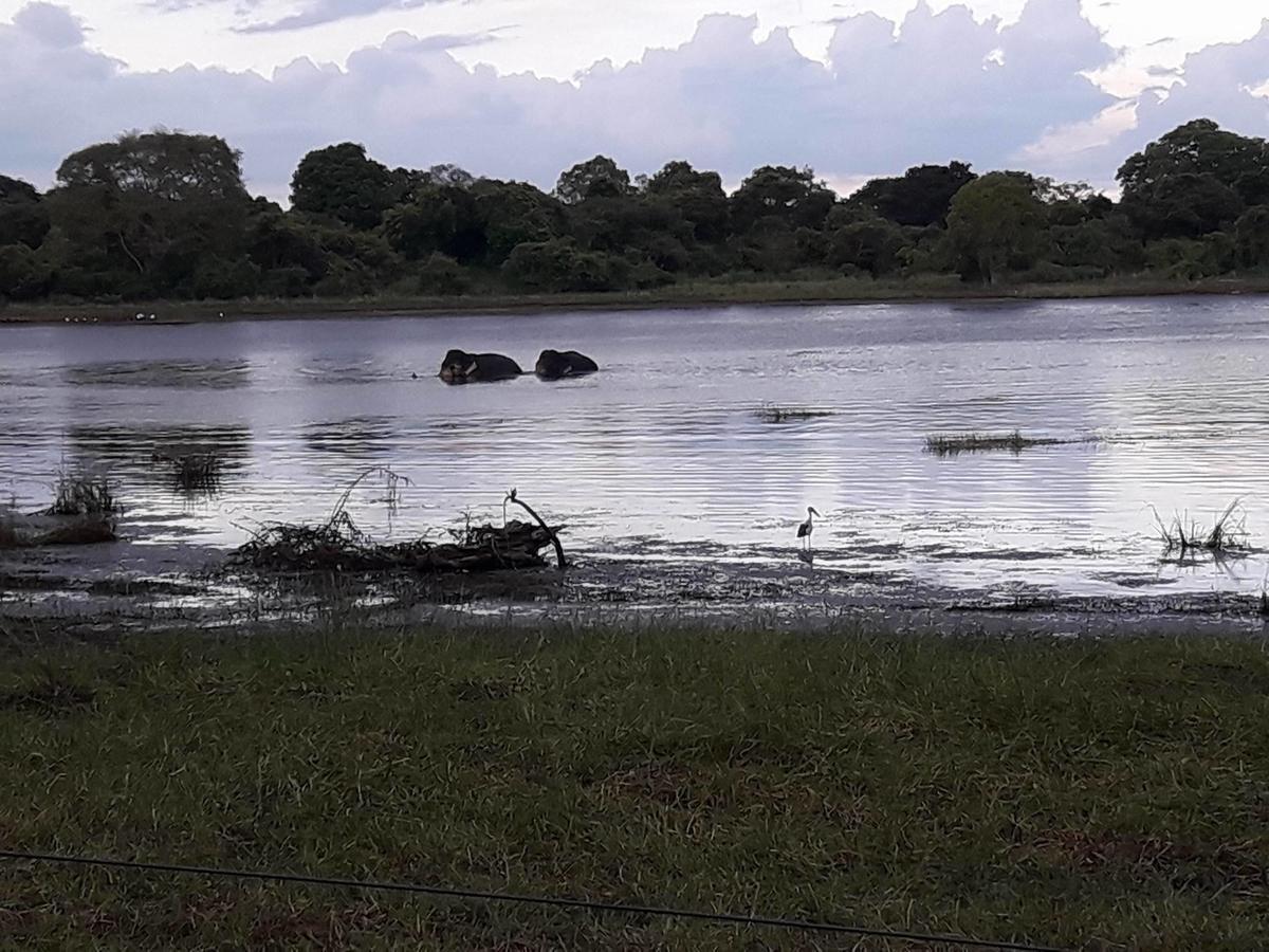 Pharo Lake Polonnaruwa Exterior foto